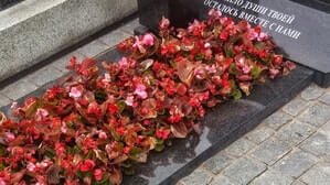 Цветы на могиле